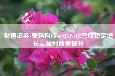 财信证券-爱玛科技-603529-Q2营收稳定增长，盈利质量提升
