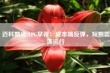 迈科期货-LPG早评：成本端反弹，短期震荡运行