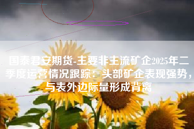 国泰君安期货-主要非主流矿企2025年二季度运营情况跟踪：头部矿企表现强势，与表外边际量形成背离