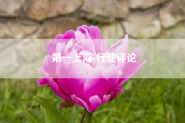 第一上海-行业评论
