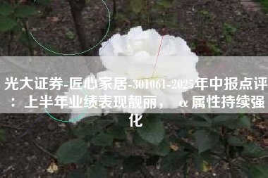 光大证券-匠心家居-301061-2025年中报点评：上半年业绩表现靓丽， α属性持续强化