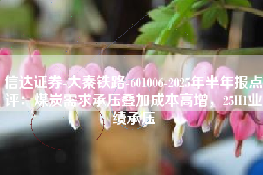 信达证券-大秦铁路-601006-2025年半年报点评：煤炭需求承压叠加成本高增，25H1业绩承压