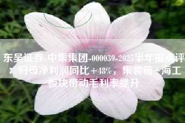 东吴证券-中集集团-000039-2025半年报点评：归母净利润同比+48%，集装箱+海工板块带动毛利率提升