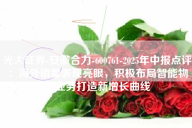 光大证券-安徽合力-600761-2025年中报点评：海外销量表现亮眼，积极布局智能物流业务打造新增长曲线