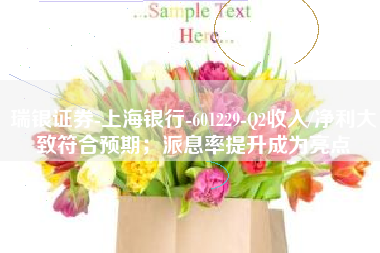 瑞银证券-上海银行-601229-Q2收入/净利大致符合预期；派息率提升成为亮点