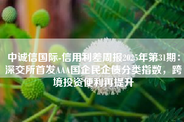 中诚信国际-信用利差周报2025年第31期：深交所首发AAA国企民企债分类指数，跨境投资便利再提升