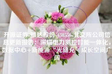 开源证券-雅达股份-430556-北交所公司信息更新报告：深耕电力测控智能一体化，数据中心+新能源“光储充”成长空间广阔