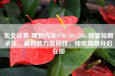 东北证券-理想汽车~W-2015.HK-销量短期承压，盈利能力显韧性，纯电周期开启在即