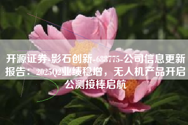 开源证券-影石创新-688775-公司信息更新报告：2025Q2业绩稳增，无人机产品开启公测接棒启航