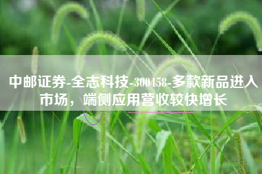 中邮证券-全志科技-300458-多款新品进入市场，端侧应用营收较快增长