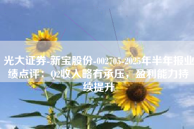 光大证券-新宝股份-002705-2025年半年报业绩点评：Q2收入略有承压，盈利能力持续提升