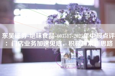 东吴证券-绝味食品-603517-2025年中报点评：门店业务加速见底，积极探索新思路