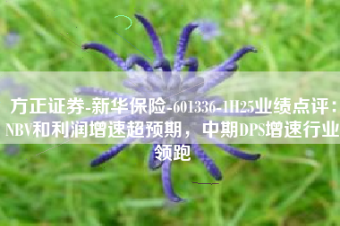 方正证券-新华保险-601336-1H25业绩点评：NBV和利润增速超预期，中期DPS增速行业领跑