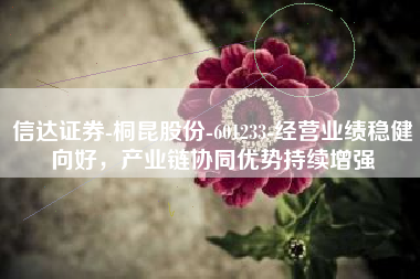 信达证券-桐昆股份-601233-经营业绩稳健向好，产业链协同优势持续增强
