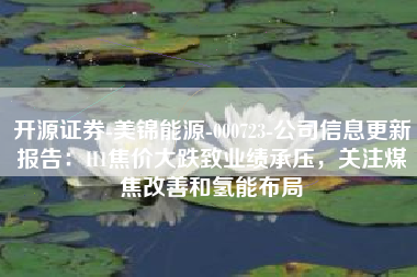 开源证券-美锦能源-000723-公司信息更新报告：H1焦价大跌致业绩承压，关注煤焦改善和氢能布局