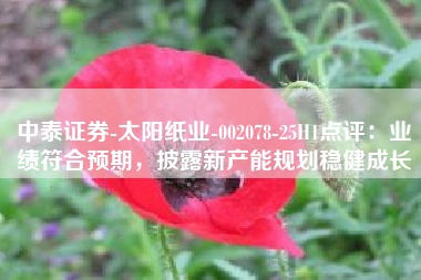 中泰证券-太阳纸业-002078-25H1点评：业绩符合预期，披露新产能规划稳健成长