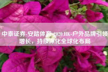 中泰证券-安踏体育-2020.HK-户外品牌引领增长，持续深化全球化布局