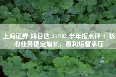 上海证券-鸿日达-301285-半年报点评 ：核心业务稳定增长，盈利短暂承压