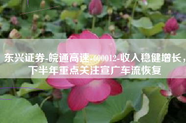 东兴证券-皖通高速-600012-收入稳健增长，下半年重点关注宣广车流恢复