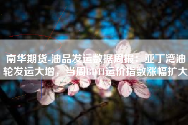 南华期货-油品发运数据周报：亚丁湾油轮发运大增，当周BDTI运价指数涨幅扩大