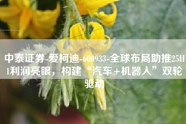 中泰证券-爱柯迪-600933-全球布局助推25H1利润亮眼，构建“汽车+机器人”双轮驱动