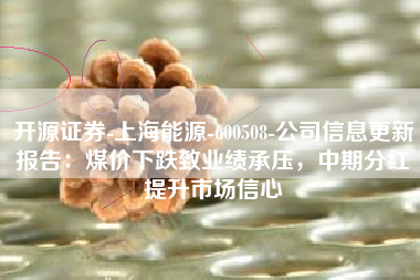 开源证券-上海能源-600508-公司信息更新报告：煤价下跌致业绩承压，中期分红提升市场信心