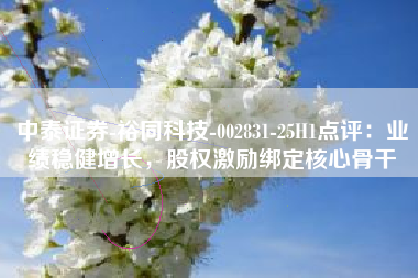 中泰证券-裕同科技-002831-25H1点评：业绩稳健增长，股权激励绑定核心骨干