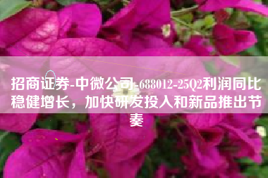 招商证券-中微公司-688012-25Q2利润同比稳健增长，加快研发投入和新品推出节奏