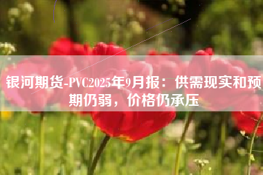 银河期货-PVC2025年9月报：供需现实和预期仍弱，价格仍承压