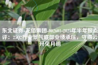 东北证券-龙佰集团-002601-2025年半年报点评：25Q2行业景气底部业绩承压，守得云开见月明