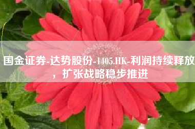 国金证券-达势股份-1405.HK-利润持续释放，扩张战略稳步推进