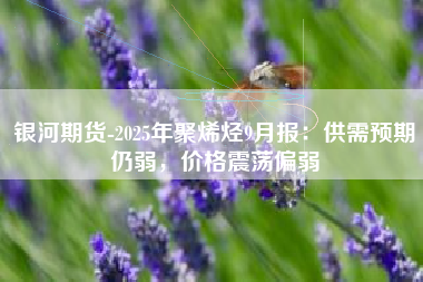 银河期货-2025年聚烯烃9月报：供需预期仍弱，价格震荡偏弱
