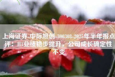 上海证券-中际旭创-300308-2025年半年报点评：H1业绩稳步提升，公司成长确定性不变