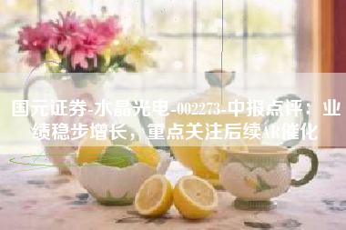 国元证券-水晶光电-002273-中报点评：业绩稳步增长，重点关注后续AR催化