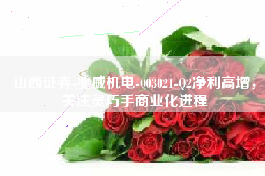 山西证券-兆威机电-003021-Q2净利高增，关注灵巧手商业化进程