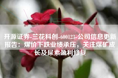 开源证券-兰花科创-600123-公司信息更新报告：煤价下跌业绩承压，关注煤矿成长及尿素盈利修复