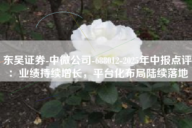 东吴证券-中微公司-688012-2025年中报点评：业绩持续增长，平台化布局陆续落地