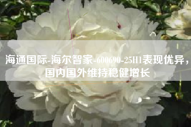 海通国际-海尔智家-600690-25H1表现优异，国内国外维持稳健增长