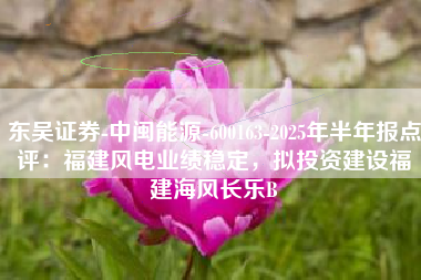 东吴证券-中闽能源-600163-2025年半年报点评：福建风电业绩稳定，拟投资建设福建海风长乐B
