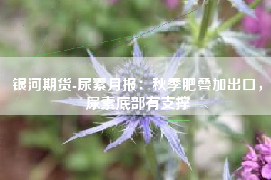 银河期货-尿素月报：秋季肥叠加出口，尿素底部有支撑