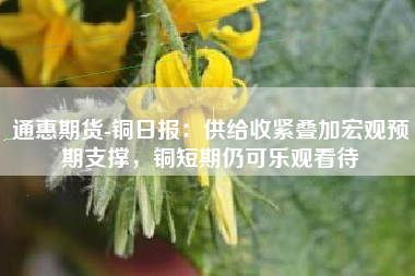 通惠期货-铜日报：供给收紧叠加宏观预期支撑，铜短期仍可乐观看待