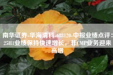 南华证券-华海清科-688120-中报业绩点评：25H1业绩保持快速增长，非CMP业务迎来高增
