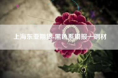 上海东亚期货-黑色系周报—钢材