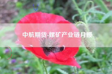 中航期货-螺矿产业链月报