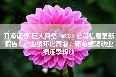 开源证券-巨人网络-002558-公司信息更新报告：Q2业绩环比高增，新游或驱动业绩逐季释放