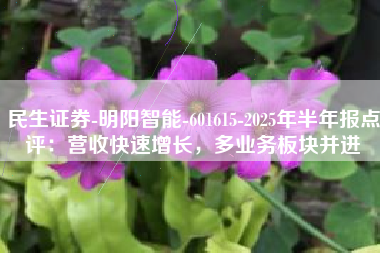 民生证券-明阳智能-601615-2025年半年报点评：营收快速增长，多业务板块并进