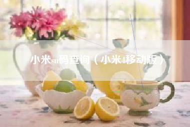 小米sn码查询（小米4移动版）