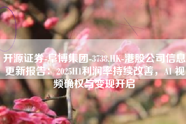 开源证券-阜博集团-3738.HK-港股公司信息更新报告：2025H1利润率持续改善，AI 视频确权与变现开启