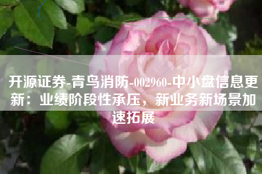 开源证券-青鸟消防-002960-中小盘信息更新：业绩阶段性承压，新业务新场景加速拓展