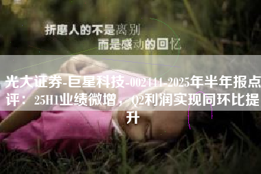 光大证券-巨星科技-002444-2025年半年报点评：25H1业绩微增，Q2利润实现同环比提升